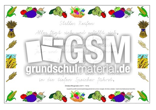 Nachspuren-Stilles-Reifen-Morgenstern.pdf